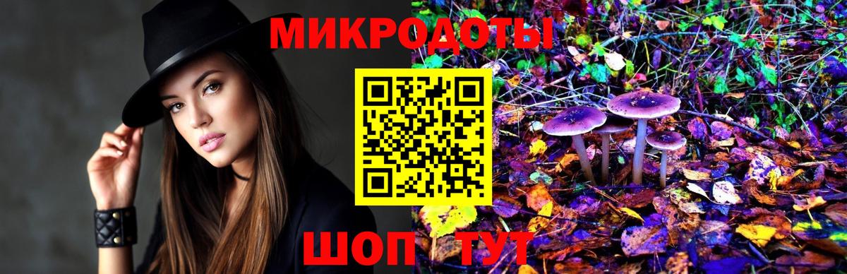 Псилоцибиновые грибы мухоморы  Вход с VPN  Псилоцибиновые грибы Magic Shrooms  Камышлов 
