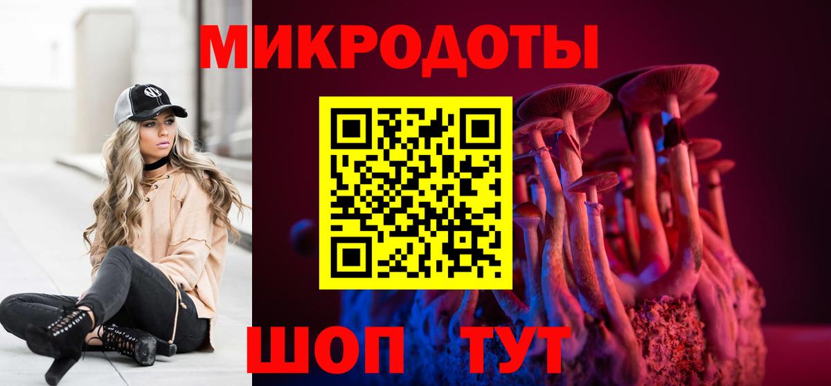 Псилоцибиновые грибы MAGIC MUSHROOMS Камышлов